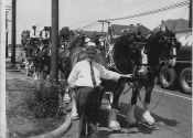 McGinley family--John, bud horses and Washington st